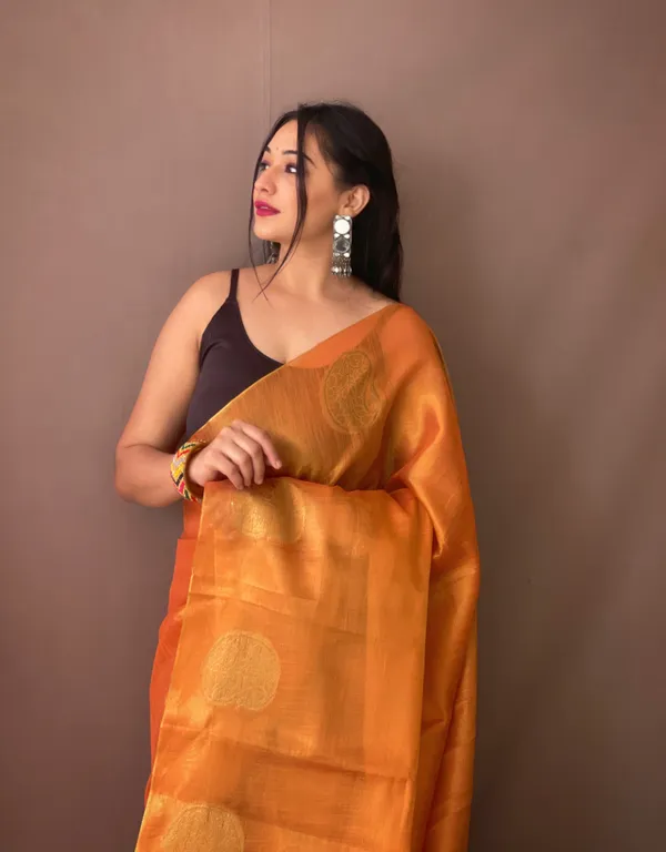Orange_Banarasi_Tissue_Silk_Saree