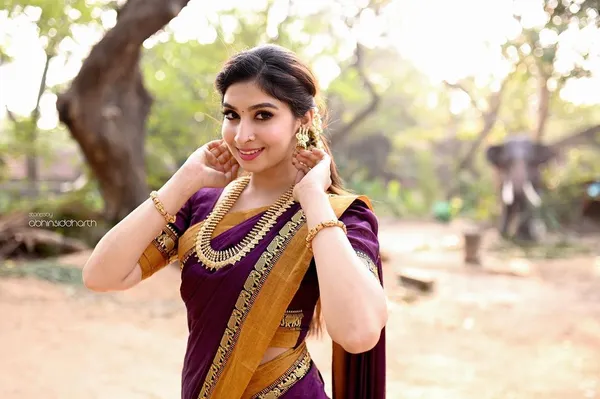 Magenta_Single_Elephant_Narayanpet_Pure_Handloom_Cotton_saree_with_Running_blouse_piece