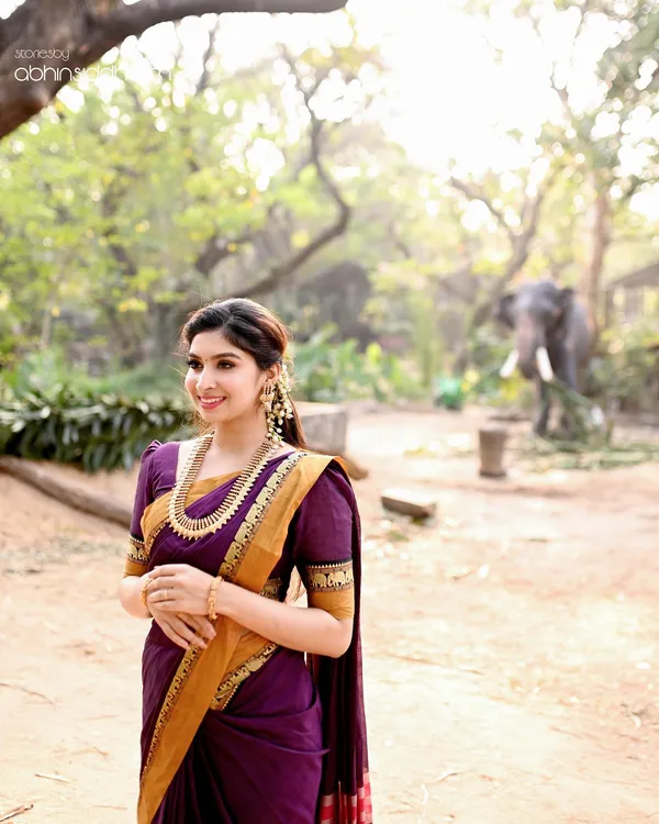 Magenta_Single_Elephant_Narayanpet_Pure_Handloom_Cotton_saree_with_Running_blouse_piece