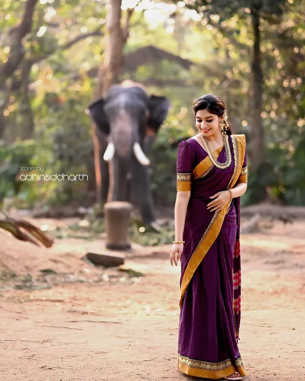 Magenta_Single_Elephant_Narayanpet_Pure_Handloom_Cotton_saree_with_Running_blouse_piece