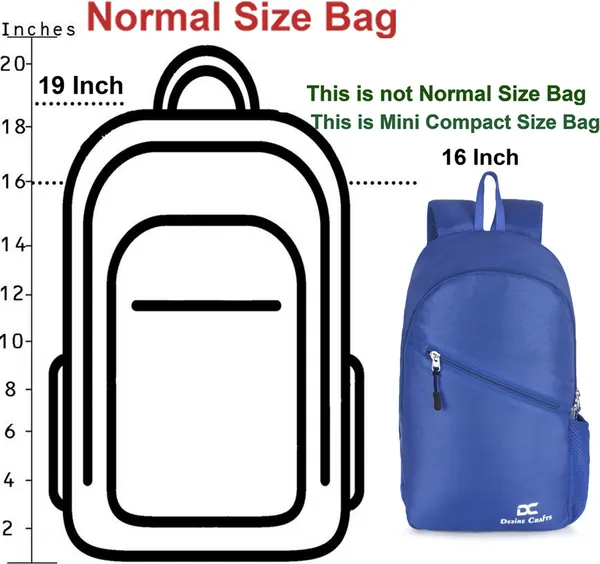Light_Blue_LightWeight_Trekking_Hiking_Student_Tution_Bag_for_Boys_Girls_14_L_Backpack_(Blue)