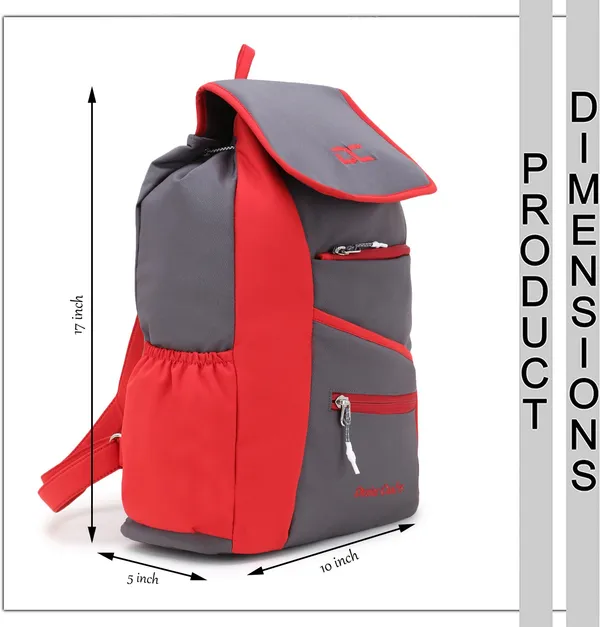 Grey_Ladies_School_College_Students_for_Girls_and_Women's_Travel_Water_Resistant_Bag_20_L_Backpack_(Grey)