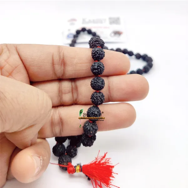 Certified_Panch_mukhi_Black_rudraksha_jaap_japa_mala_108+1_Beads_5_face_rudraksha_(_8-9mm_)