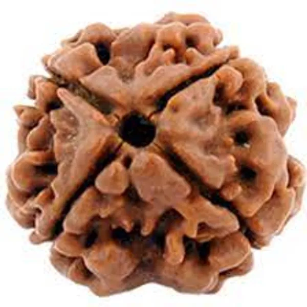 Certified_4_mukhi_rudraksha_Bead_with_lab_Tested_Certificate