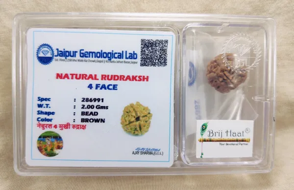 Certified_4_mukhi_rudraksha_Bead_with_lab_Tested_Certificate