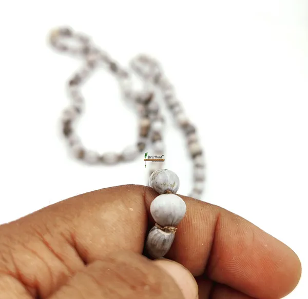 Vaijayanti_jaap_japa_mala_108+1_Beads