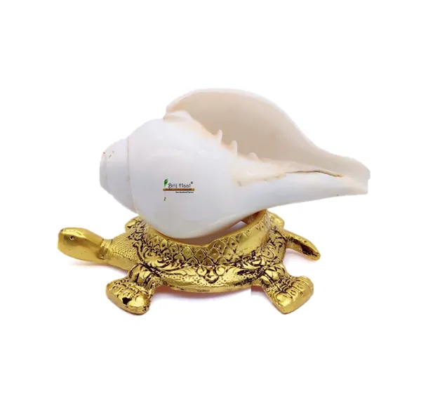 Natural_Blowing_shankh_with_kachua_Shape_Stand_Golden