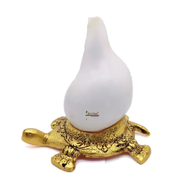 Natural_Blowing_shankh_with_kachua_Shape_Stand_Golden