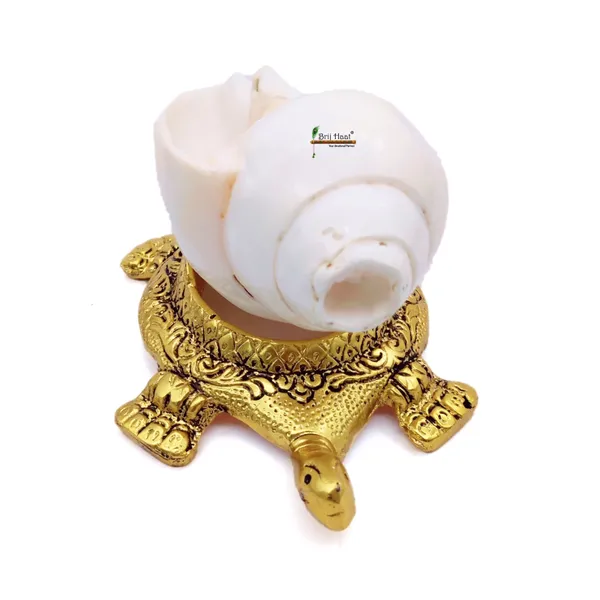 Natural_Blowing_shankh_with_kachua_Shape_Stand_Golden