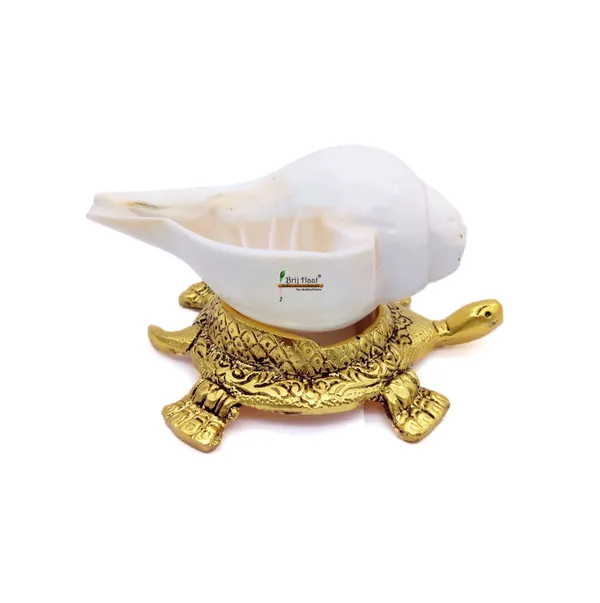 Natural_Blowing_shankh_with_kachua_Shape_Stand_Golden