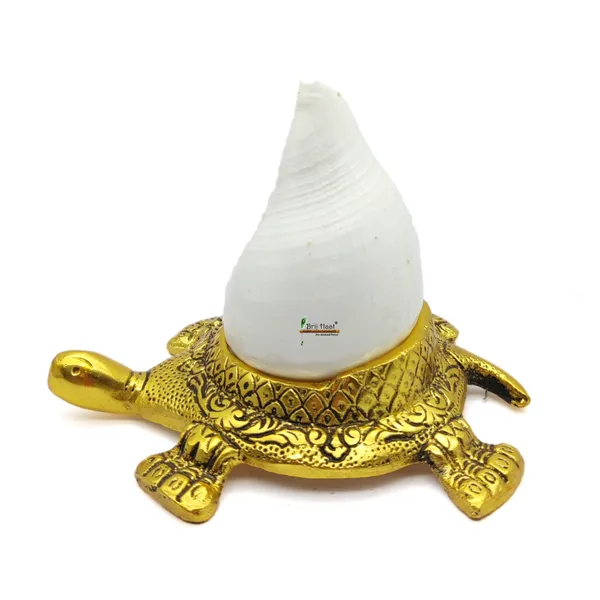 Natural_Vamavarti_shankh_with_kachua_Shape_Stand