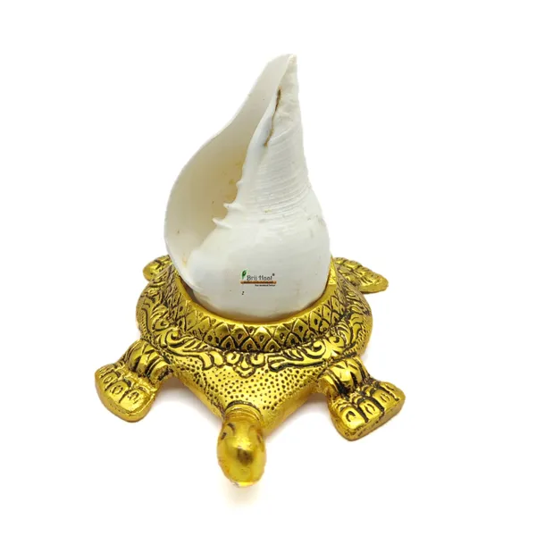 Natural_Vamavarti_shankh_with_kachua_Shape_Stand