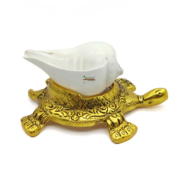 Natural_Vamavarti_shankh_with_kachua_Shape_Stand