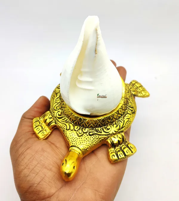 Natural_Vamavarti_shankh_with_kachua_Shape_Stand