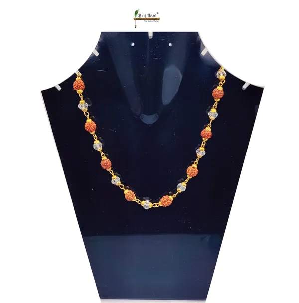 Rudraksha_and_Crystal_beads_Mala_with_Golden_Cap_for_Men,_women