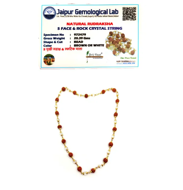 Rudraksha_and_Sphatik_beads_Mala_with_Golden_Cap_for_Men,_women_with_Lab_tested_certificate