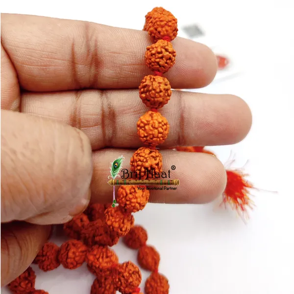 Certified_Panch_Mukhi_Rudraksha_Jaap_Japa_Mala_108+1_Beads_8-9mm