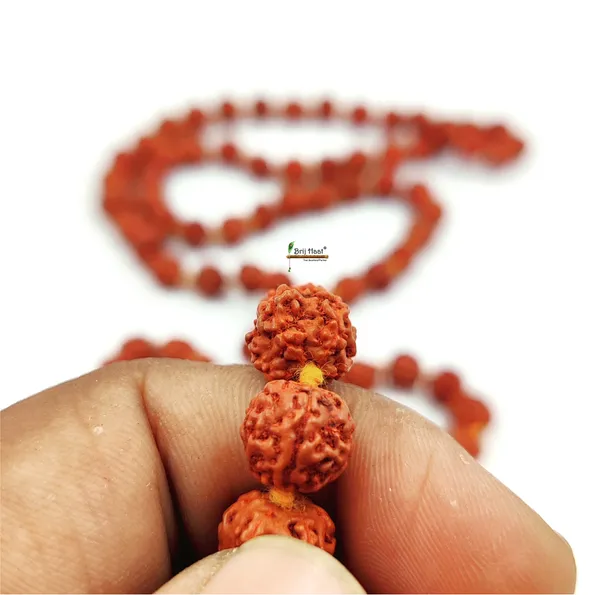 7-8mm_Panch_mukhi_rudraksha_jaap_japa_mala_108+1_Beads_5_face_rudraksha_with_Cotton_Gaumukhi_bag_jholi