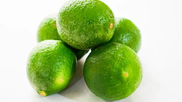 Alltime_Madraji_Kagoji_Labu_(_Grafted_)_/Hybrid_Kagoji_Lemon_Plant_(Pack_of_1)