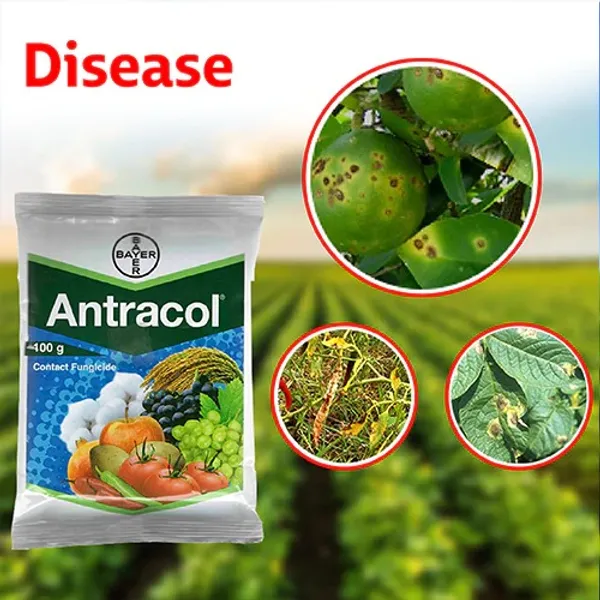 Antracol_Fungicide_(100_gm)_For_Plant_Fungal_diseases_(Pack_Of_1)