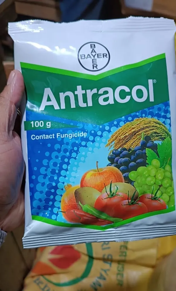 Antracol_Fungicide_(100_gm)_For_Plant_Fungal_diseases_(Pack_Of_1)