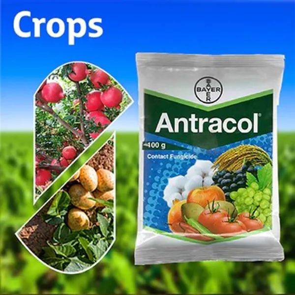 Antracol_Fungicide_(100_gm)_For_Plant_Fungal_diseases_(Pack_Of_1)