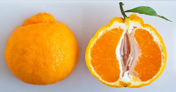Dekopon_Orange_Healthy_Fruit_Plant_&_Tree_For_Garden_Dekopon_Variety_Hybrid_Orange_Plant_(Grafted,_Pack_Of_1)