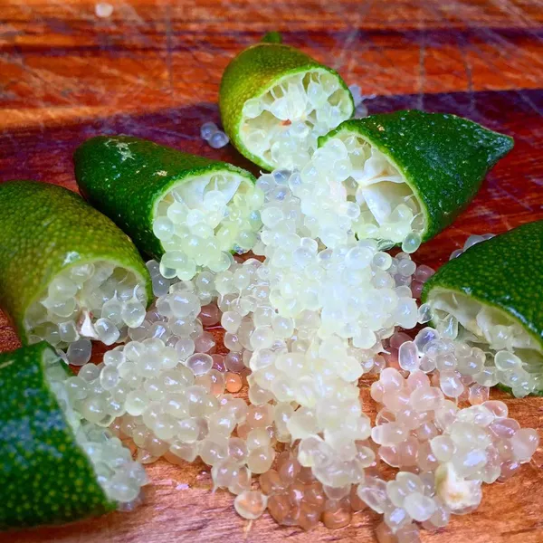 Finger_Lime/Lemon_(Grafted)_Hybrid_Fruit_Plant_(Pack_of_1_)