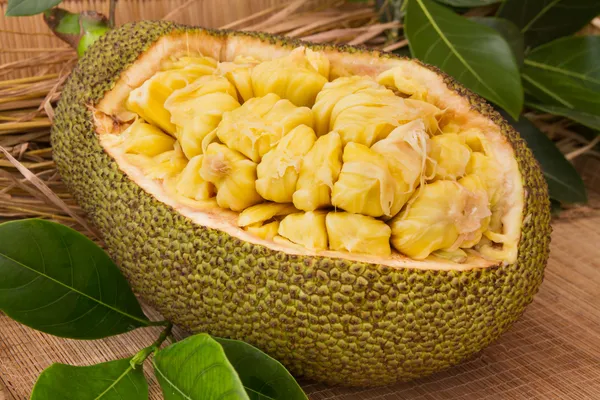 Indian_Hybrid_Jackfruit_Plant_&_Tree_For_Your_Home_Gardening_(1.5-3.5_Ft_Hight)_Suitable_Location_Outdoor_(Grafted,_Pack_Of_1)