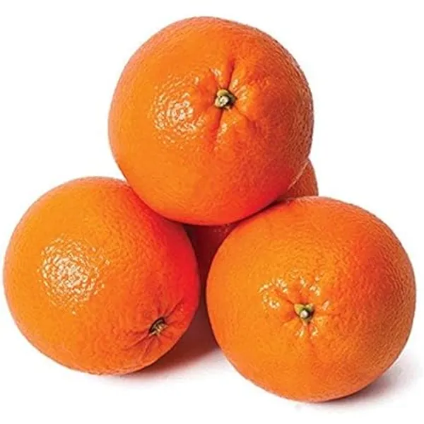 Orange_Kinnow_Mandarin_(Grafted)_-_Fruit_Plants_&_Tree_(PACK_OF_1)_Healthy_Orange_Fruit_Plant