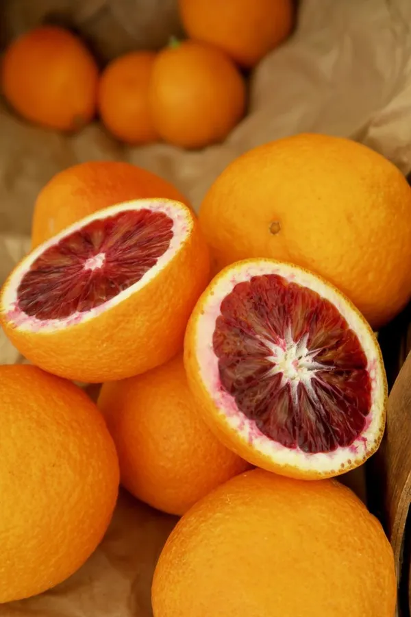 Orange_Amoa_8_(Grafted)_Hybrid_Fruit_Plant_(Pack_of_1)