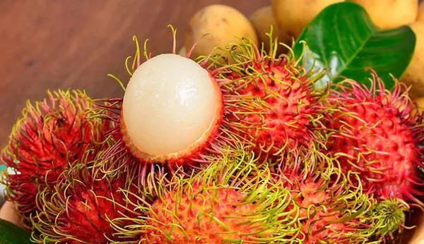 Rare_Red_Rambutan_Hybrid_Exotic_Fruit_Plants_&_Tree_(1_Healthy_Plant)