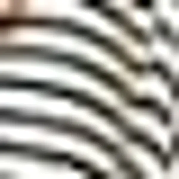 Women'S_Wear_Black/White_Skirt_|_50419