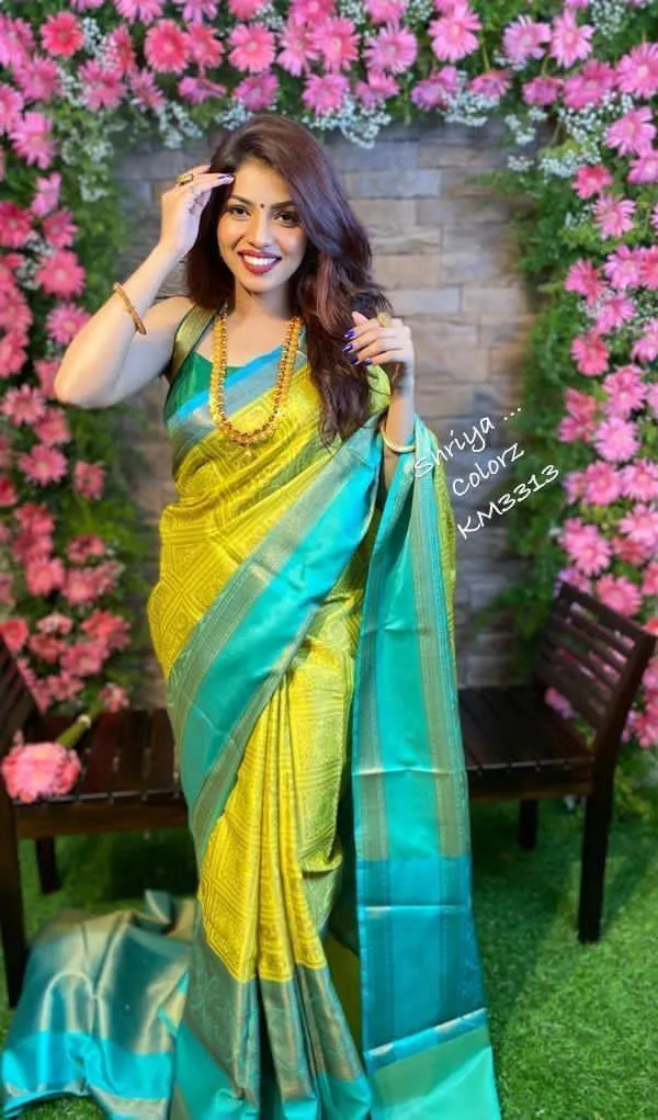 Multicolor_Woven_Kanjivaram_Silk_Saree_with_Saree_Cover