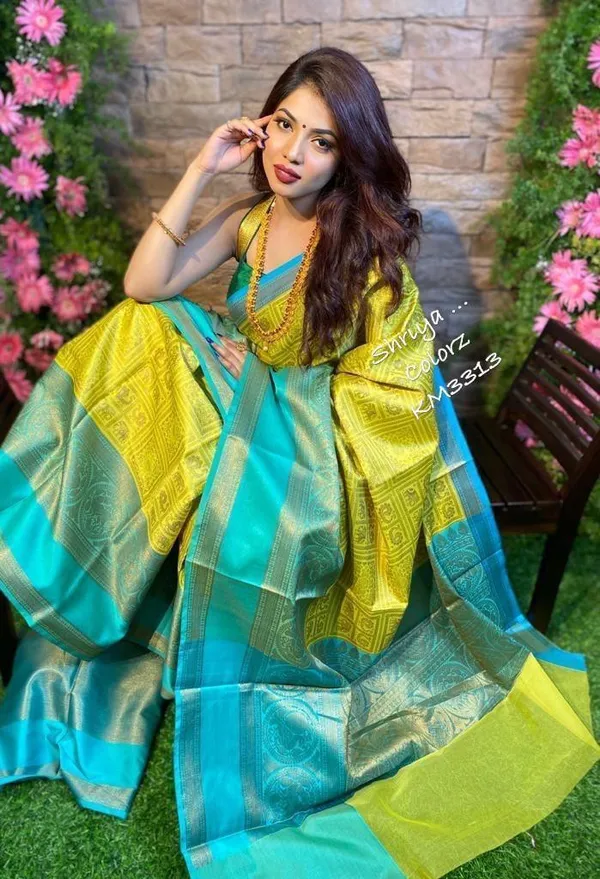 Multicolor_Woven_Kanjivaram_Silk_Saree_with_Saree_Cover