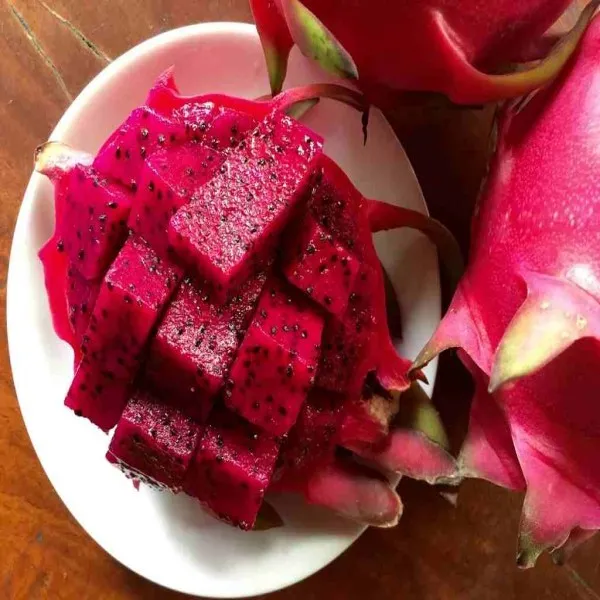 Dragon_Fruit_Red_|_Grafted_and_Hybrid_Plants