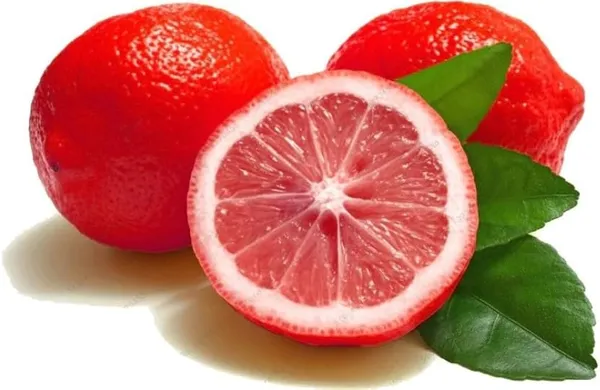 Red_All_Time_Pati_Lemon_|_Grafted_and_Hybrid_Plants