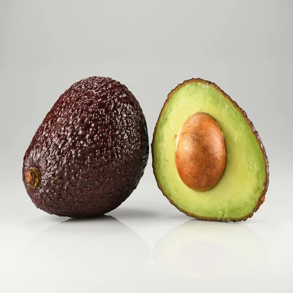 Avocado_Hass_Plant_|_Grafted_and_Hybrid_Plants