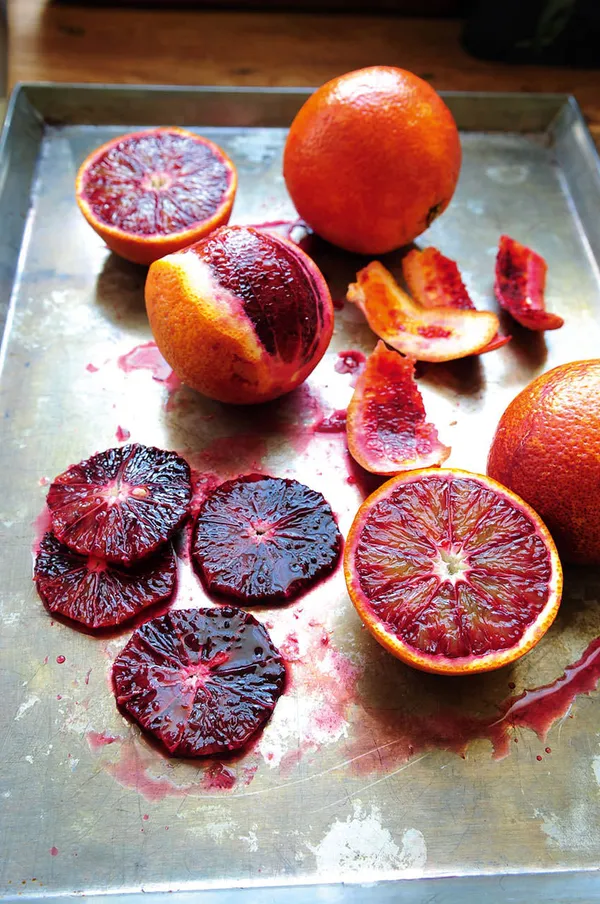 Blood_Orange_Plant_|_Grafted_and_Hybrid_Plants