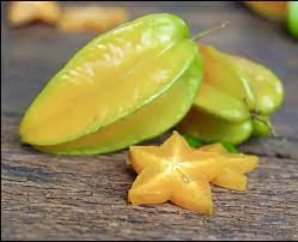 Thai_Star_Fruit_Plant_|_Grafted_and_Hybrid_Plants