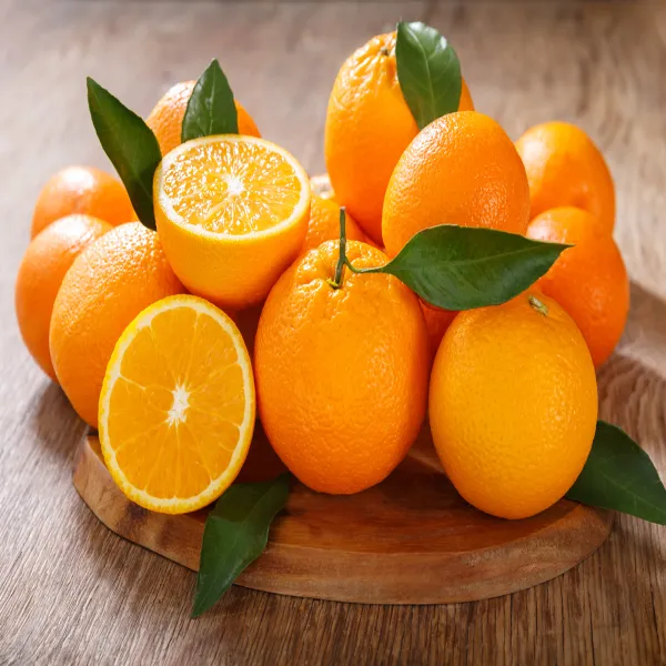 All_Time_Orange_Plant_|_Grafted_and_Hybrid_Plants