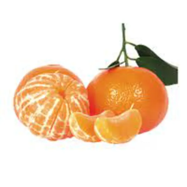 Cala_Mansi_Sweet_Orange_|_Grafted_and_Hybrid_Plants