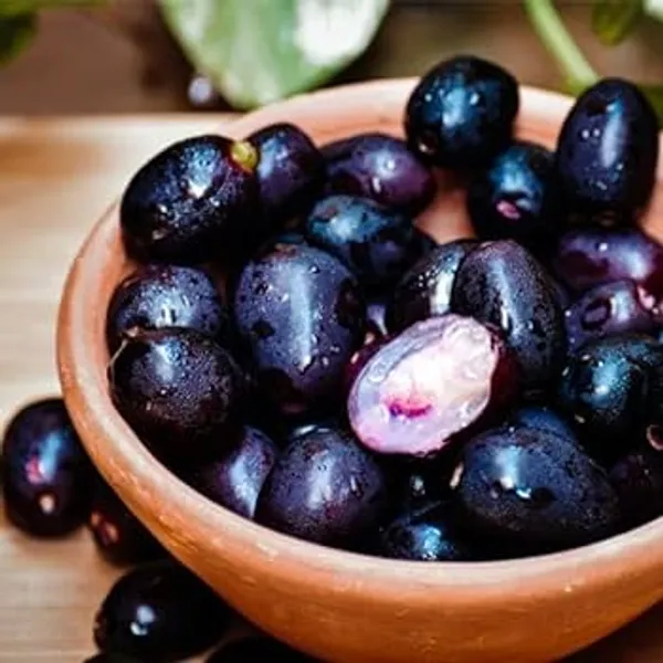 Thai_Black_Jamun_|_Grafted_and_Hybrid_Plants