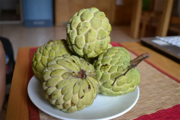 Custard_Apple_|_Grafted_and_Hybrid_Plants