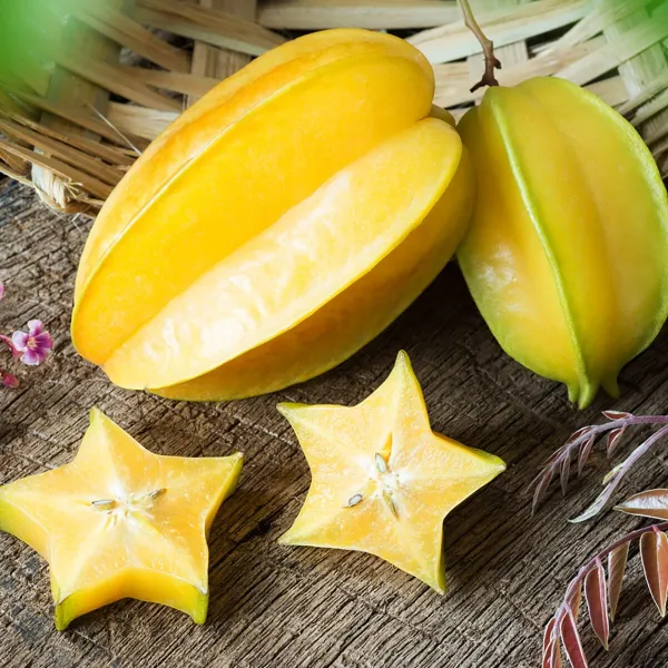 Gaint_Star_Fruit_|_Grafted_and_Hybrid_Plants