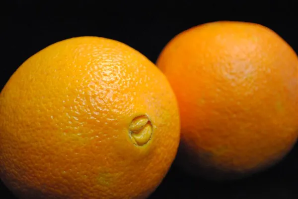 Cara_Navel_Orange_|_Grafted_and_Hybrid_Plants