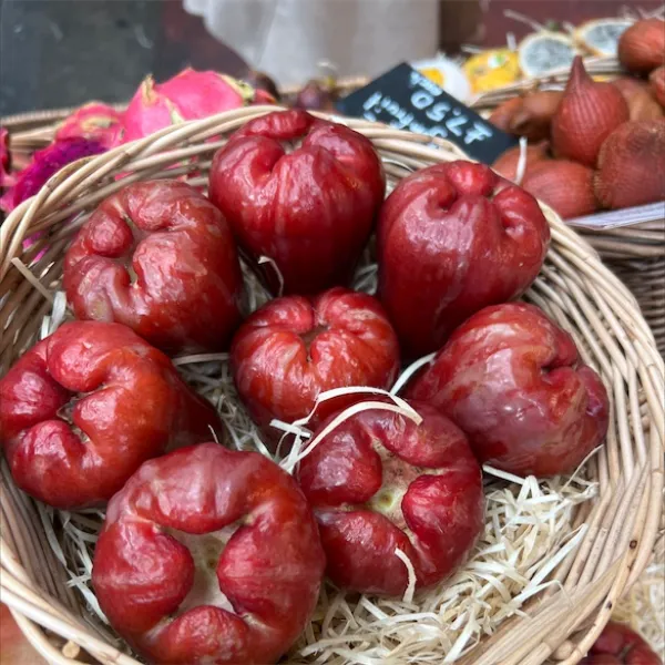 Red_Missile_water_Apple_|_Grafted_and_Hybrid_Plants