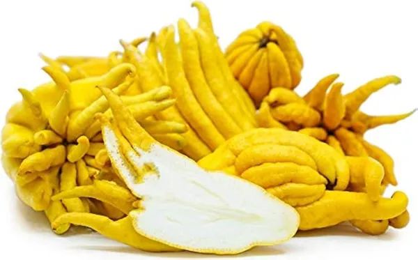 Buddha_Finger_lemon_|_Grafted_and_Hybrid_Plants
