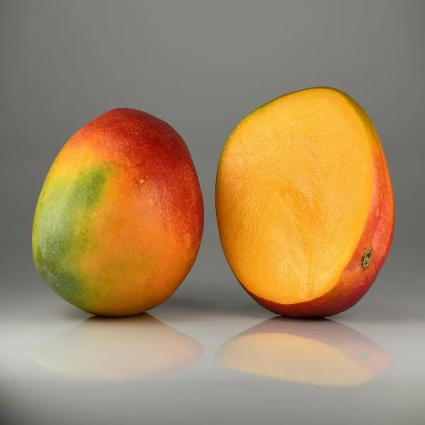 Bari_4_Mango_Plant_|_Grafted_and_Hybrid_Plants