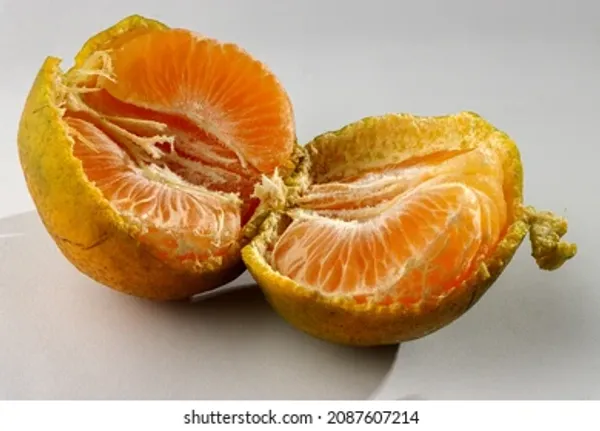 Nagpur_Mandarin
